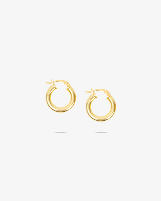 Thick Gold Hoops